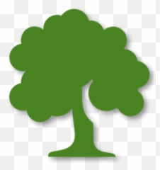 Terms Of Service Dplandgroup - Transparent Tree Icon Png,File Tree Icon