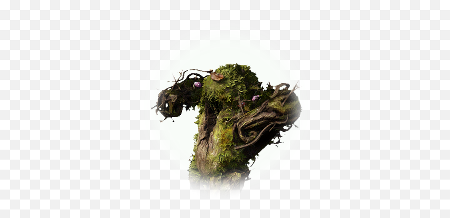 Bdo Contaminated Bush Keeper Bddatabasenetusnpc21567 - Twig Png,Icon Keeper