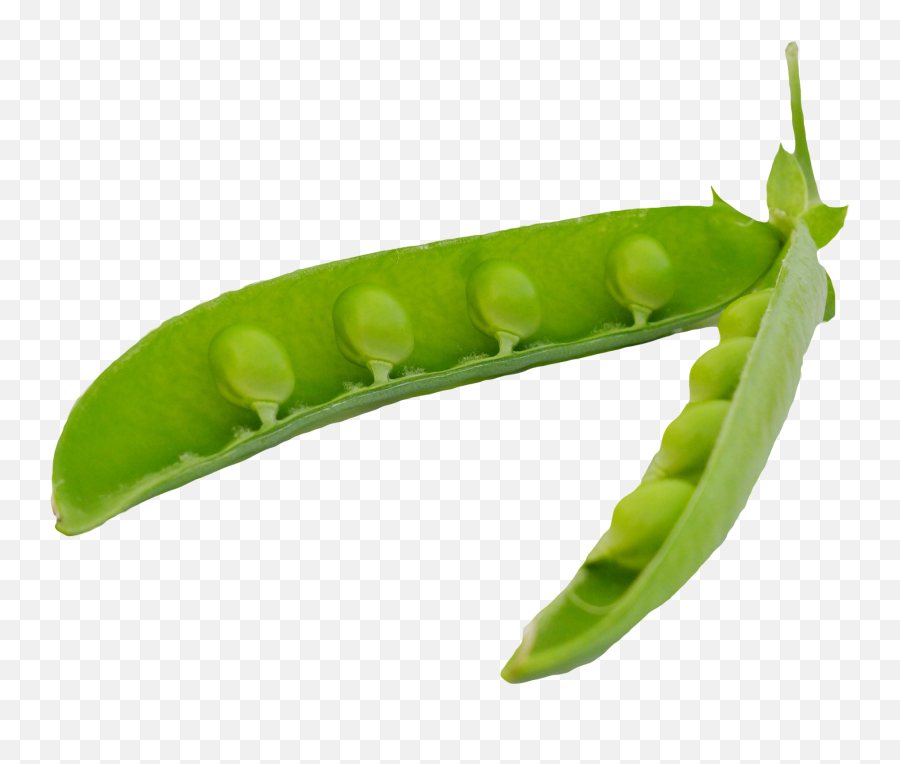 Download Green Peas Pods Png Image For Free - Transparent Background Pea Pod Png,Peas Png