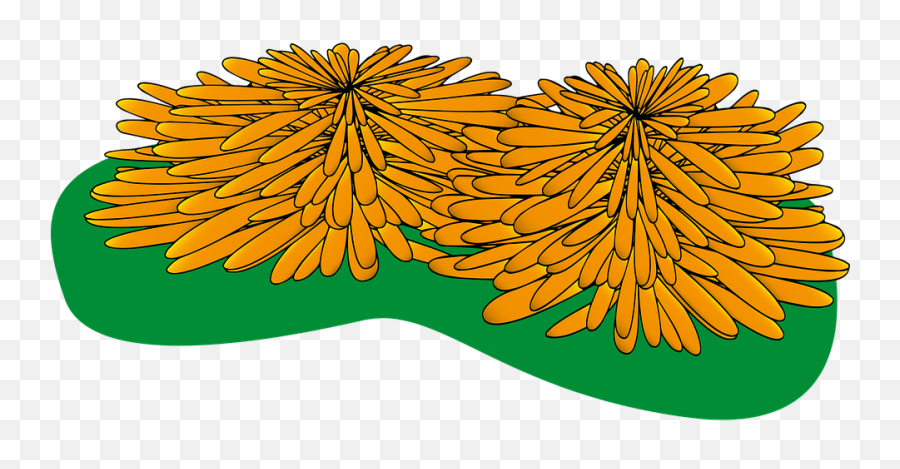 Marigolds Flower Flowers Day Of - Clip Art Png,Dead Flowers Png