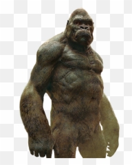 King Kong Png