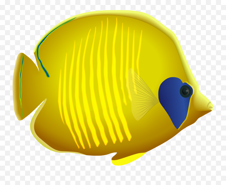 Fish Clipart Png
