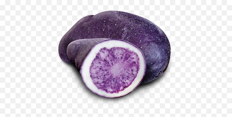 Purple Magic Earthapples - Purple Fingerling Potatoes White Ring Png,Potato Transparent