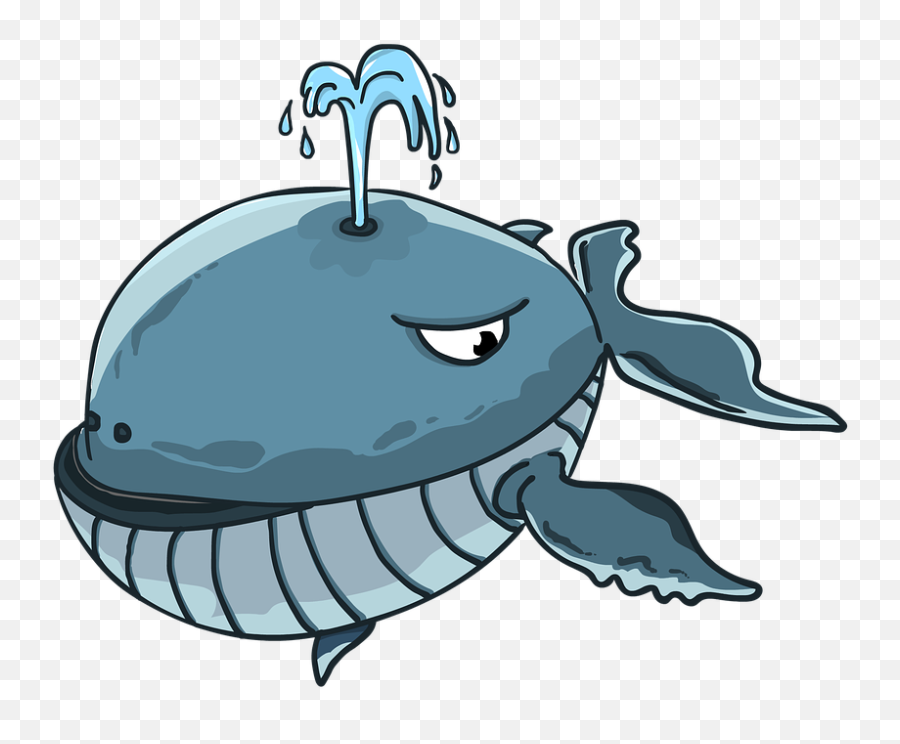 Kit Sperm Whale Blue - Free Image On Pixabay Fish Drinking Wine Png,Sperm Png