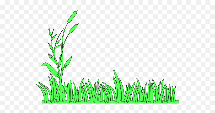 Grass Clip Art - Vector Clip Art Online Grass Border Clip Art Png,Grass Vector Png