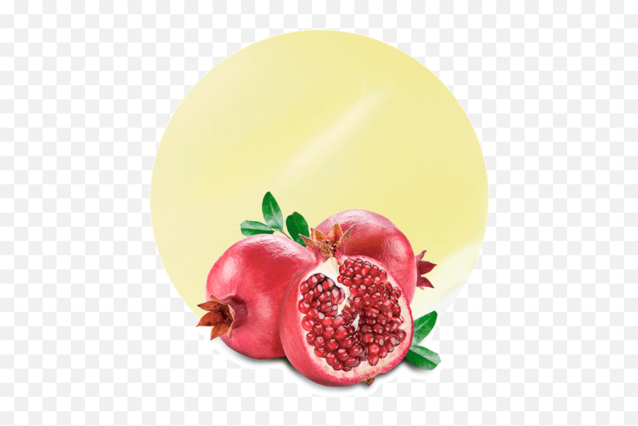 Pomegranate Fruit Products - Manufacturer And Supplier Pomegranate Hd Png,Pomegranate Png