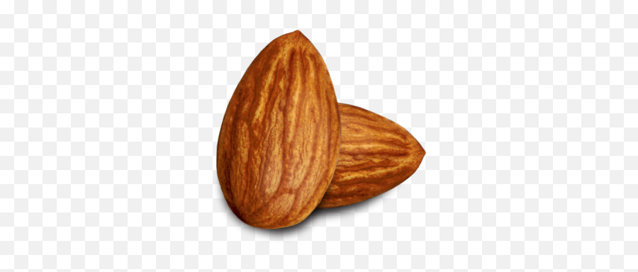 Almonds Two Transparent Png Image - Almond Clipart Png,Almond Transparent