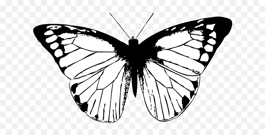 Butterfly Black Clipart Png - Black And White Butterfly Transparent,Butterfly Clipart Transparent Background