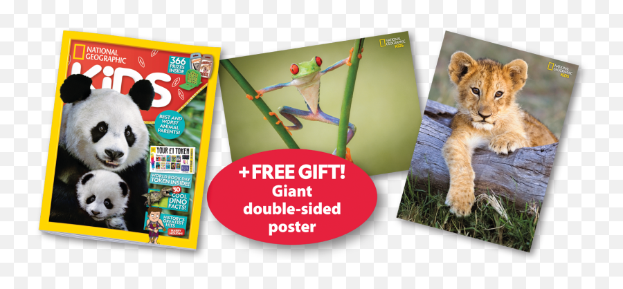 National Geographic Kids Magazine Subscription U2013 Official - National Geographic Animal Poster Kids Png,National Geographic Logo Png