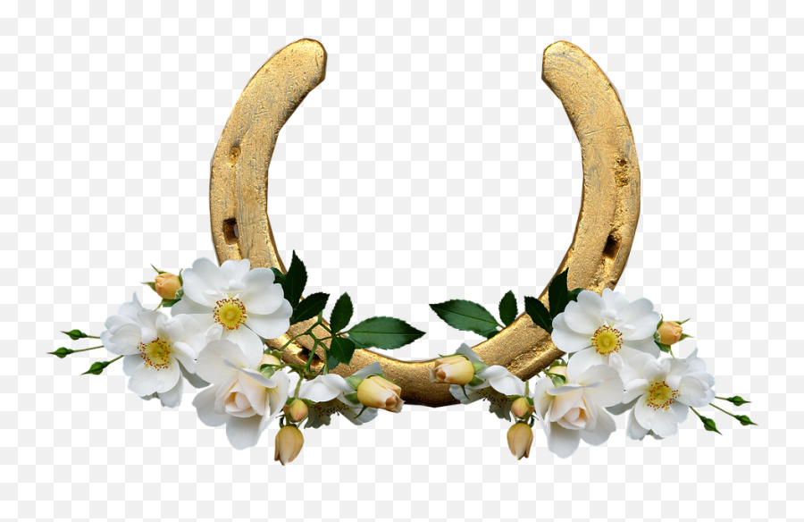 Horse Shoe White Roses Lucky - Horse Shoe Flower Png,Horse Shoe Png