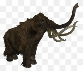Mammoth - Skyrim Mammoth Png,Mammoth Png