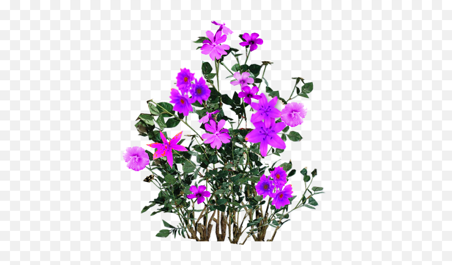 Script Library - Flower Png,Purple Flowers Png