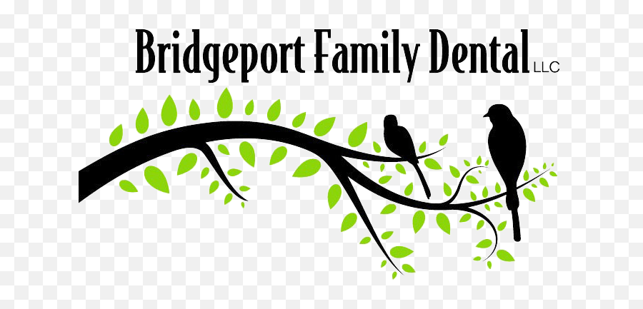 About Dr Johnson Tigard Or Bridgeport Family Dental - Twig Png,University Of Bridgeport Logo