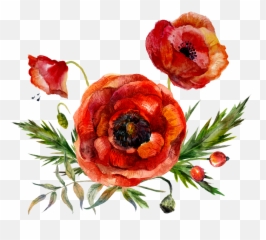 Free Png Flowers - Konfest Flowers Watercolor Red Png,Poppies Png