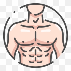 Chest Male Body Free Icon Of Human Color - png