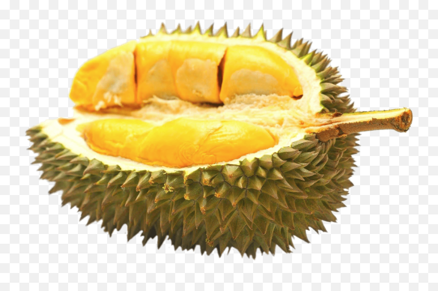 Half Durian Fruit Transparent Png - Interesting Facts About Durian Fruit,Fruit Transparent