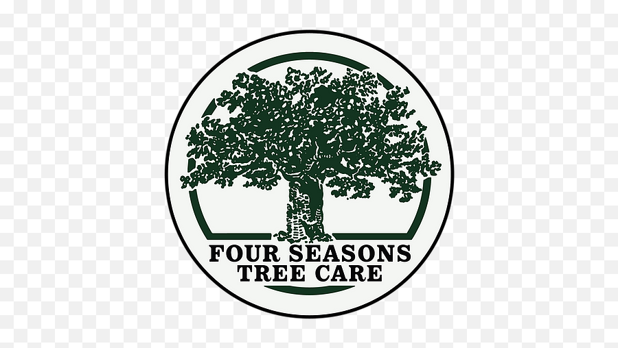 Fourseasonstreecare Woodbridge Treesurgeonwoodbridge - Language Png,Four Seasons Icon