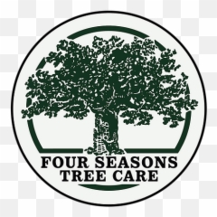 Fourseasonstreecare Woodbridge Treesurgeonwoodbridge - Language png