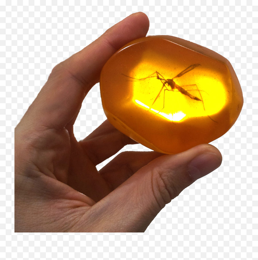 Download Hd Ambar 3m - Mosquito Amber Png,Mosquito Transparent