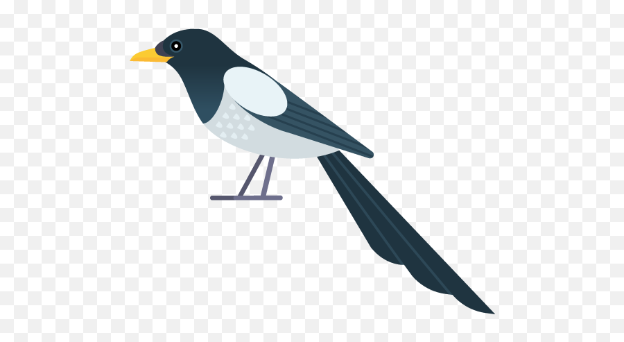 Westnilecagov California West Nile Virus Website - Magpie Png,Date Icon Vector