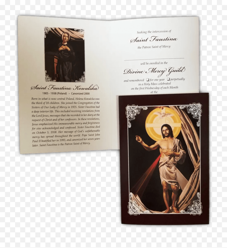 Mass Guilds Shrine Of Our Lady Guadalupe - Document Png,Lady Of Guadalupe Icon
