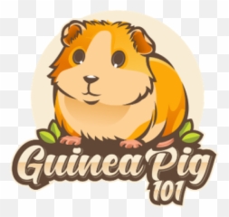 Can Guinea Pigs Eat Bell Peppers Serving Size Risks - Groundhog Day png