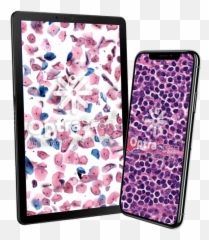 About Us Digital Pathology Solution U0026 Company - OptraSCAN Mobile Phone Case png