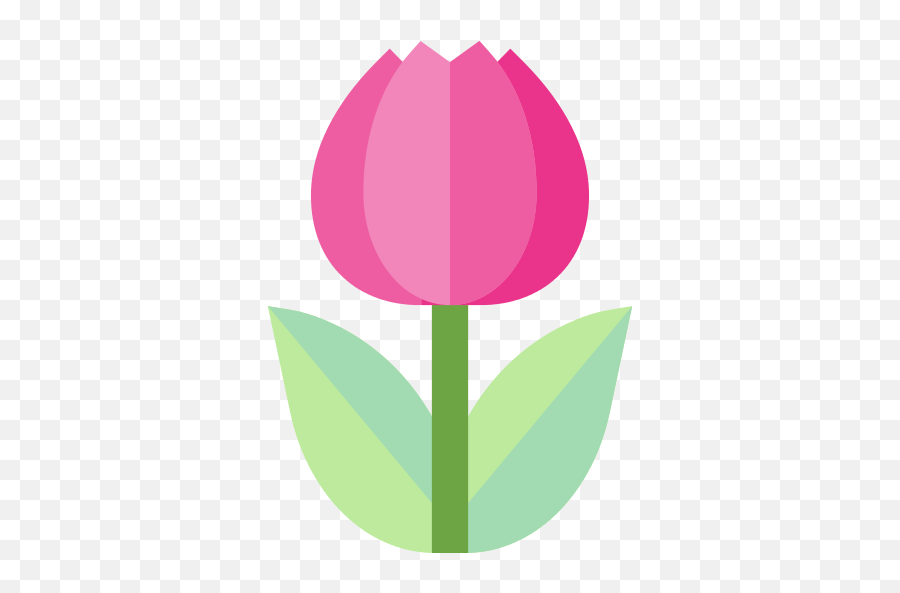 Tulip Png Icons And Graphics - Page 2 Png Repo Free Png Icons Tulip Flat Png,Tulip Transparent
