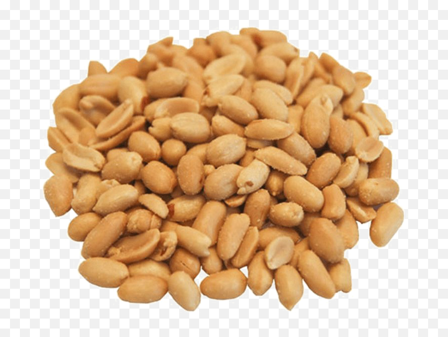 Peanut Transparent Png - Peanut Png,Peanut Transparent