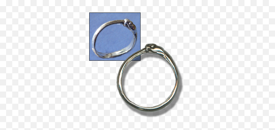 Ouroboros Ring - Circle Png,Ouroboros Transparent