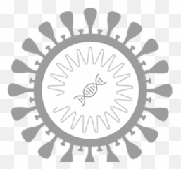 Sarsu2011covu20112 Antibody Seroprevalence Png