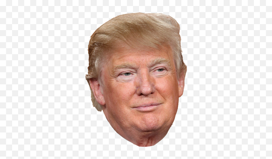 Donald Trump Would Look Like Without - Albino With Spray Tan Png,Trump Head Transparent