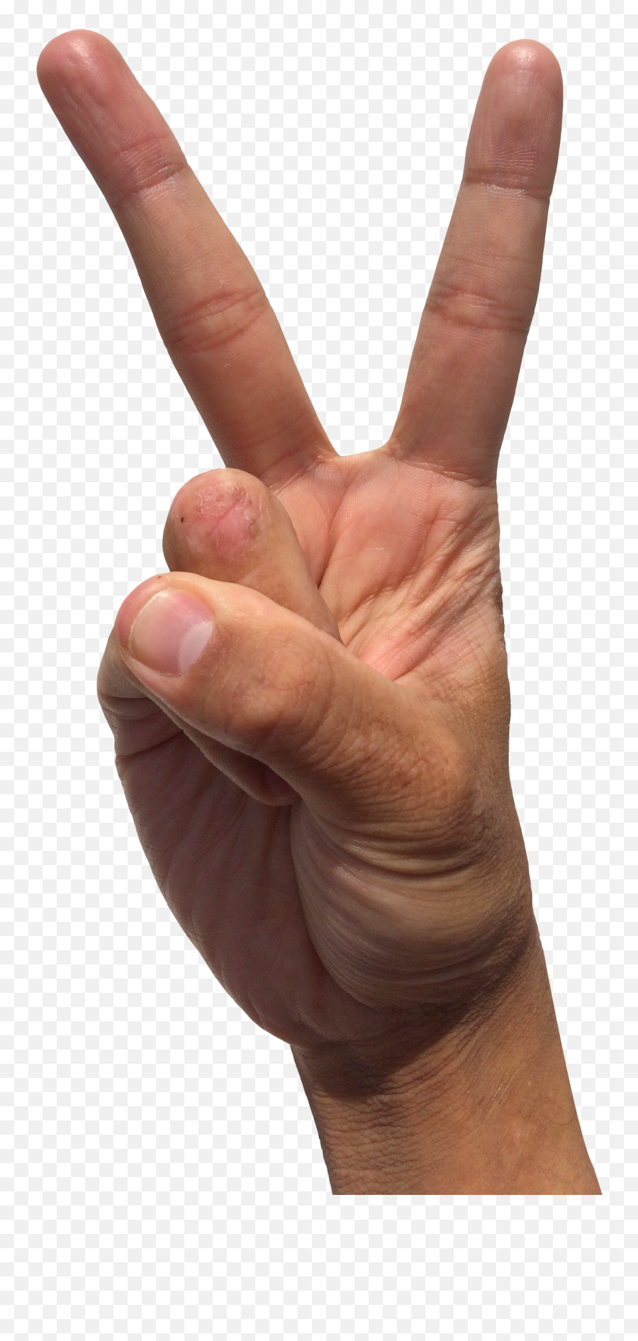 Mobile Phone In Hand Png Image - Pngpix Peace Sign Hand Png,Phone In Hand Png
