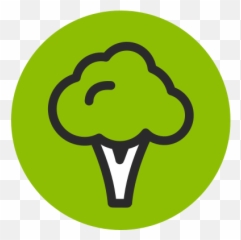 Broccoli Fruit Green Healthy Vegetable Free Icon Of - Vegetable png