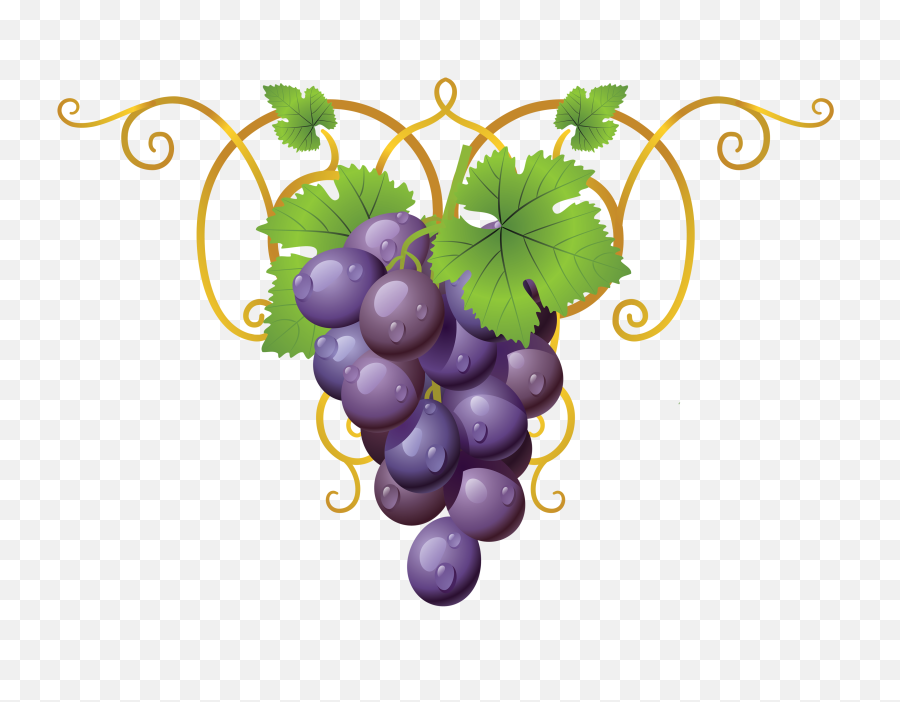 Grapevine Clipart Transparent - Grapes Clipart Png,Raisin Png