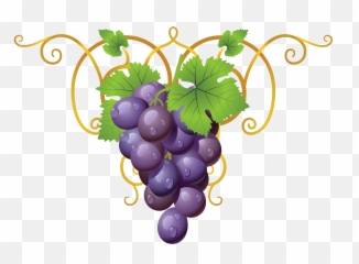 Grapevine Clipart Transparent - Grapes Clipart Png,Raisin Png