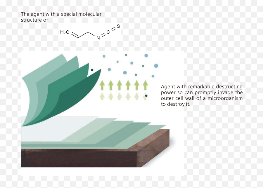 Approach Biotech Corporation - Anti Mold Chip Png,M&ms Png