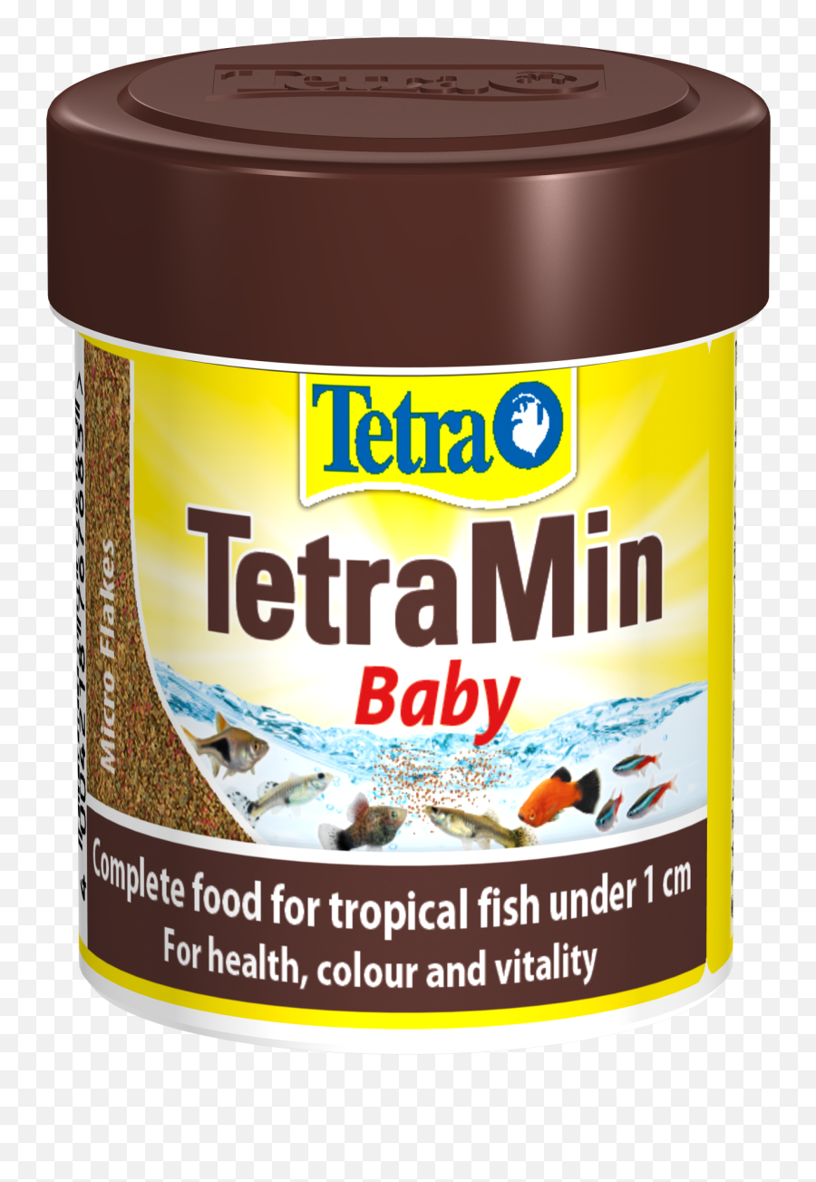 Tropical Fish - Fish Food For Baby Png,Tropical Fish Png