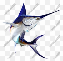 Swordfish 2 - Aurora Graphics Sword Fish Art Png,Swordfish Png