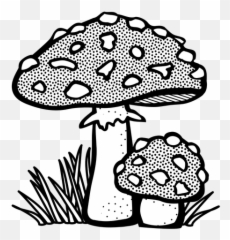 Toadstool Vector Royalty Free - Mushroom Black And White Png,Toadstool Png