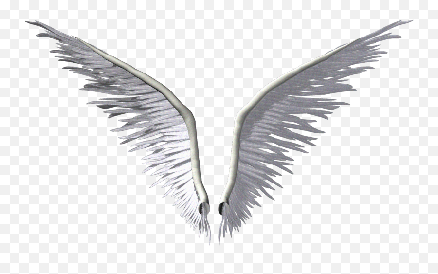 Wing Angel Clip Art - Angel Wings Png Download 1347783 Angel Wings Art,Black Angel Wings Png