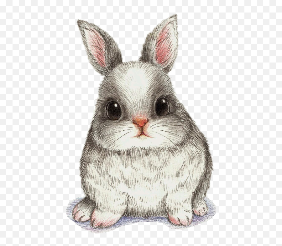 Drawing Watercolor Painting Art Image - Cute Bunny Drawing Beautiful Drawing Pencil Shading Png,Bunnies Png