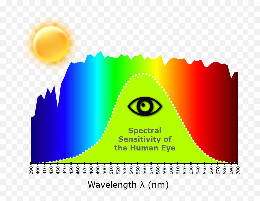 The Language Of Light Radiant Vision Systems - Spectral Sensitivity Of Human Eye Png,Human Eye Png