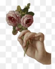 Flowers Vintage Png Vintagepng - Girl With Roses