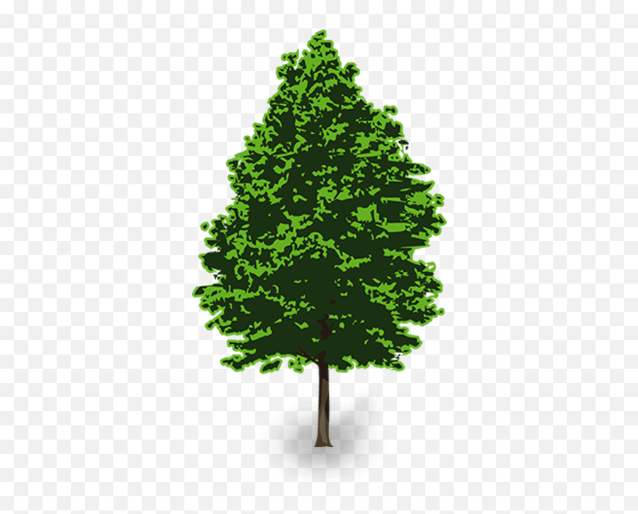 3d Pine Tree Png Vector Clip Art - Portable Network Graphics,Pine Tree Png