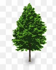 3d Pine Tree Png Vector Clip Art - Portable Network Graphics,Pine Tree Png