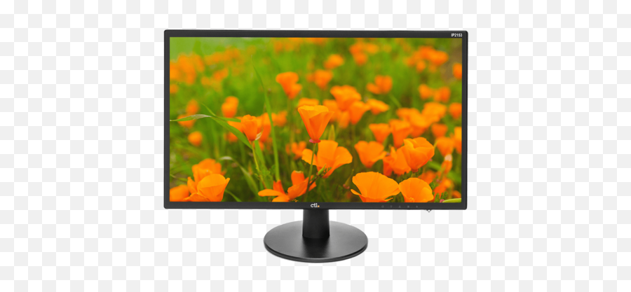 Ctl Ip2153 22 Inch Lcd Monitor Ads Screen - Lcd Display Png,Monitor Png