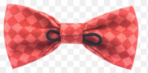 Checked Candy Dog Tie - Ribbon png