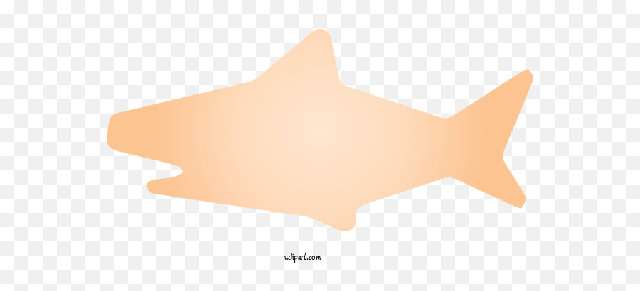 Animals Orange Star Peach For Shark - Shark Clipart Animals Fish Png,Shark Transparent