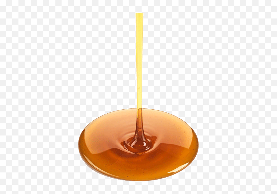 Melita Honey True New Zealand Manuka - Pouring Maple Syrup Transparent Png,Honey Transparent Background